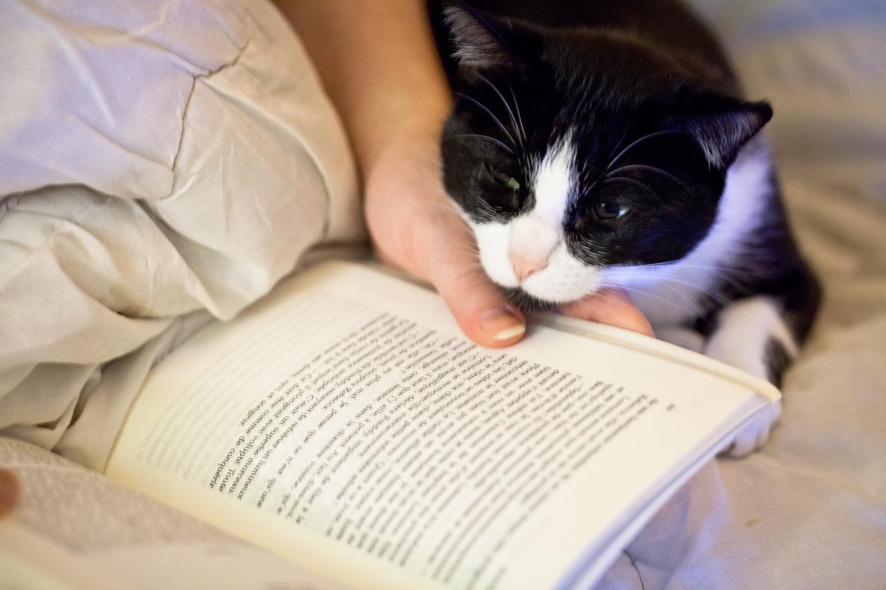 chat_lecture